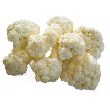 Cogollos de coliflor congelados IQF Origen de China